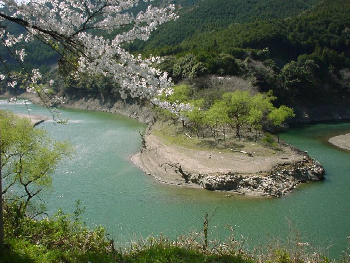 ����_���ƍ��P