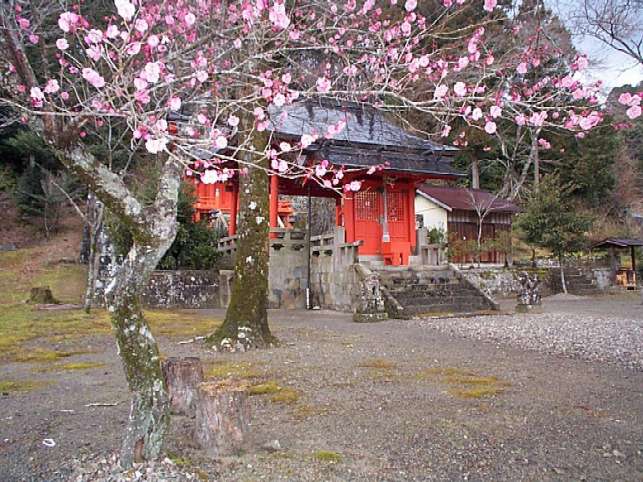 ����̍g�~�R